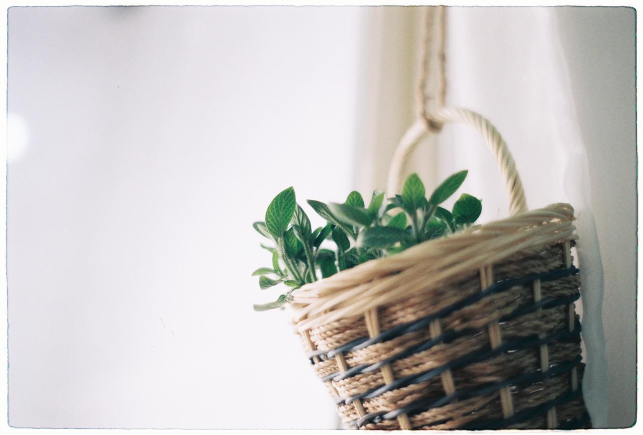 Magari Homestay Ho Chi Minh-stad Buitenkant foto