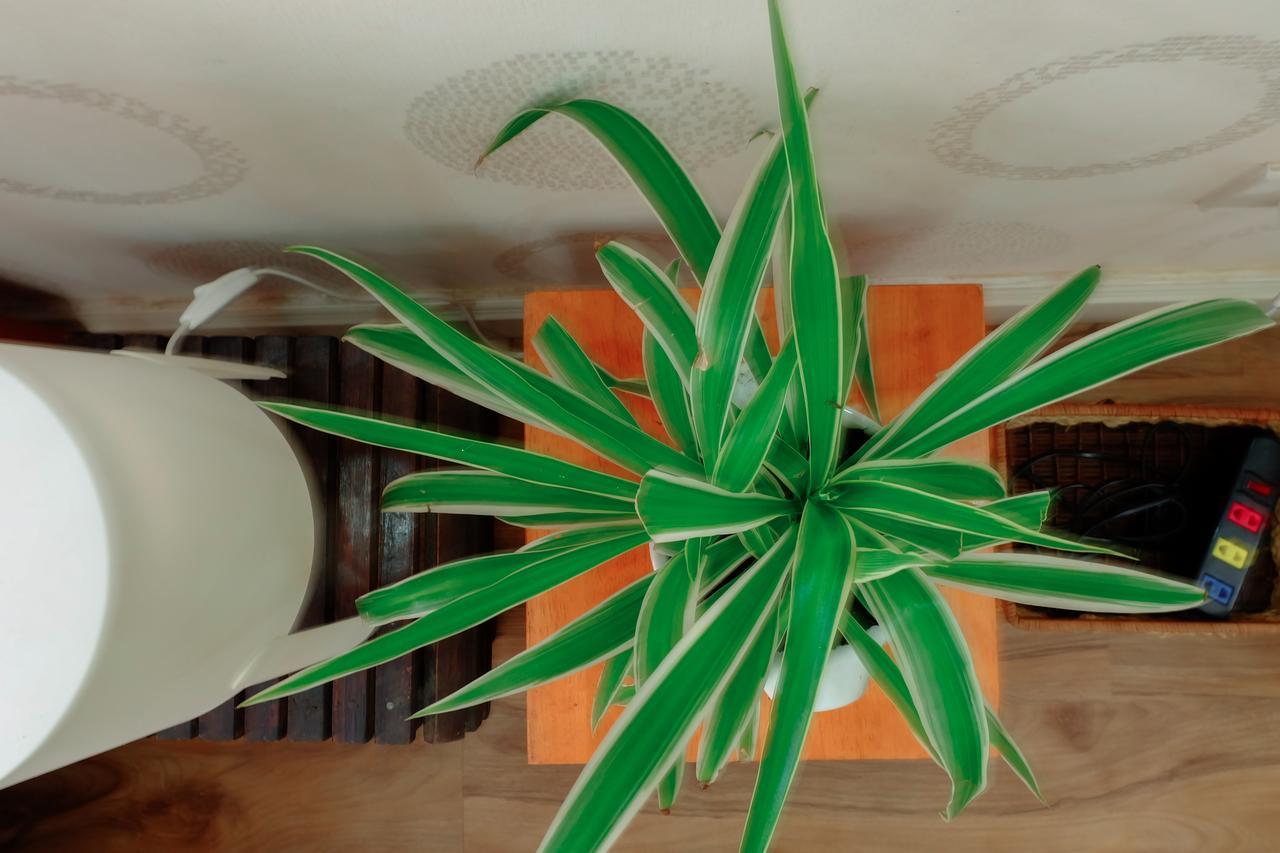 Magari Homestay Ho Chi Minh-stad Buitenkant foto